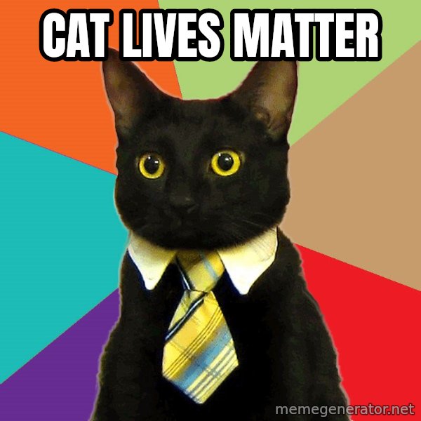 Business Cat meme: cat lives matter