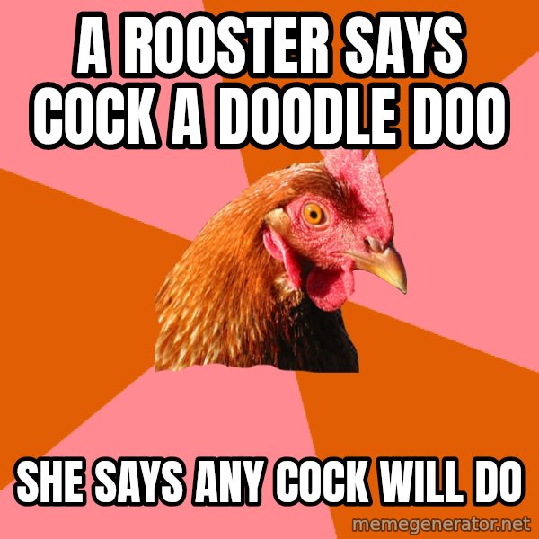 Anti Joke Chicken meme: a rooster says cock a doodle doo / she says any cock will do