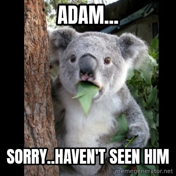 Koala can't believe it meme: Adam... / Sorry..haven't seen him