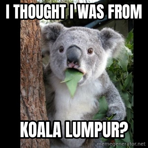 Koala can't believe it meme: I thought I was from / koala lumpur?