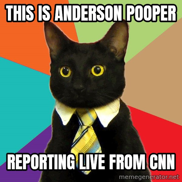 Business Cat meme: this is anderson pooper / reporting live from cnn