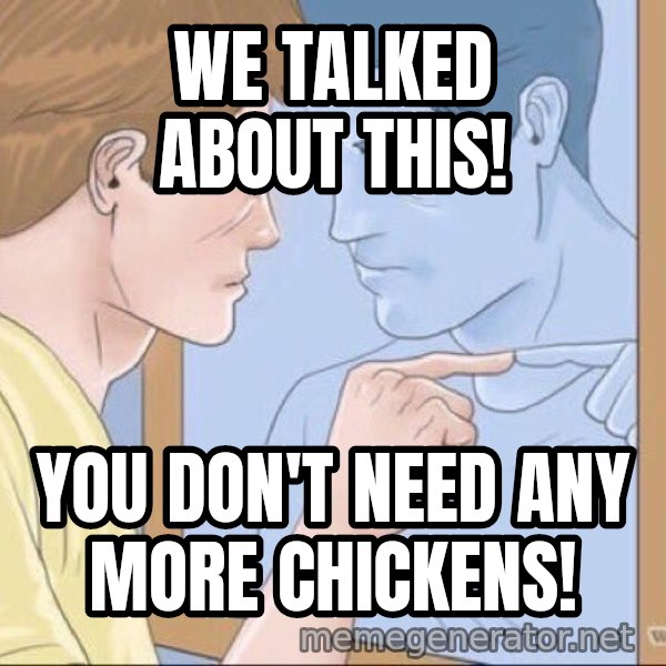 Mirror Pep Talk meme: We talked about this! / You don't need any more chickens!