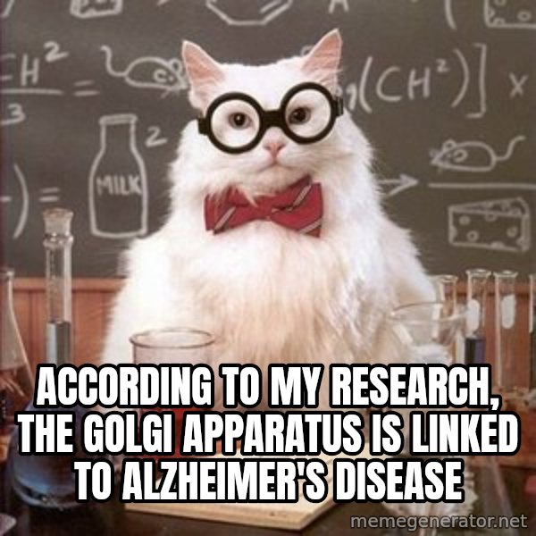 Chemistry Cat meme: According to my research, the Golgi apparatus is linked to alzheimer's disease