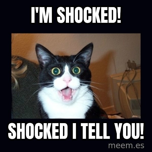 shocked cat meme: I'm SHOCKED! / Shocked I tell you!