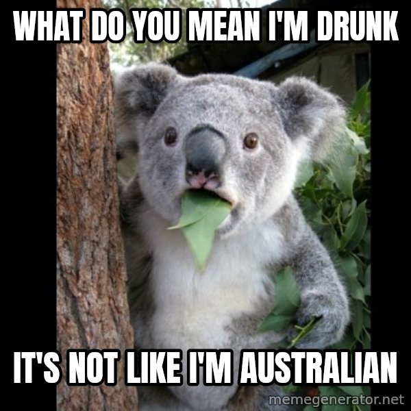 Koala can't believe it meme: What do you mean I'm Drunk / It's not like i'm Australian