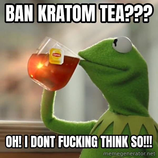 Kermit The Frog Drinking Tea meme: Ban kratom tea??? / oh! i dont fucking think so!!!
