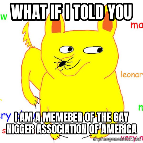 What If I Told You meme: What If I Told You / I am a memeber of the gay nigger association of america