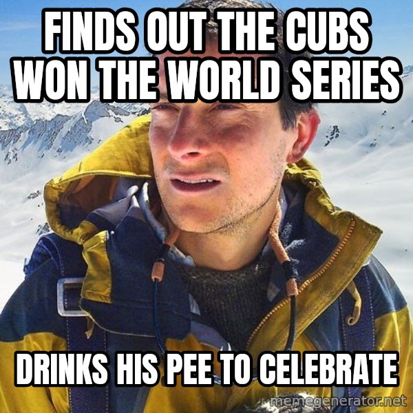 Bear Grylls meme: finds out the Cubs Won The World Series / drinks his pee to celebrate