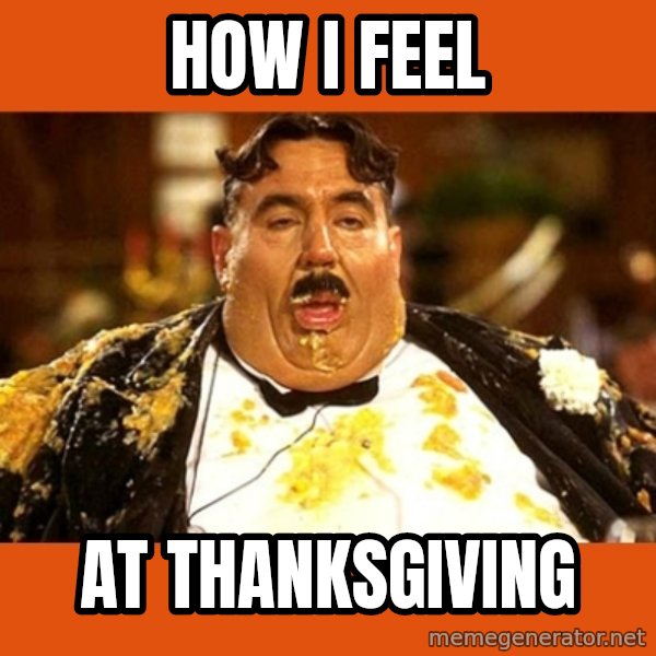 Fat Guy meme: How i feel / At thanksgiving