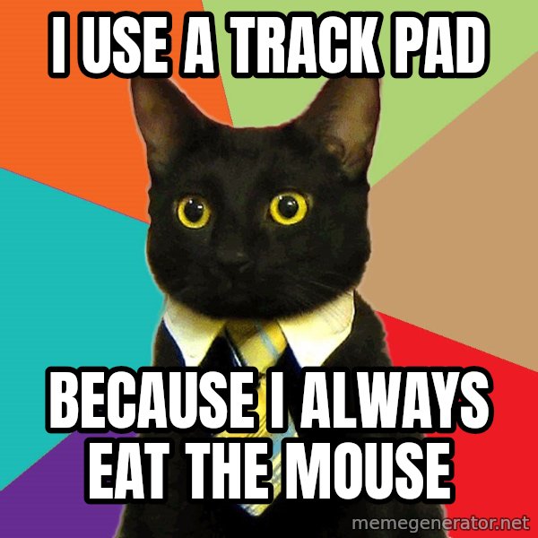 Business Cat meme: I use a track pad / because I always eat the mouse