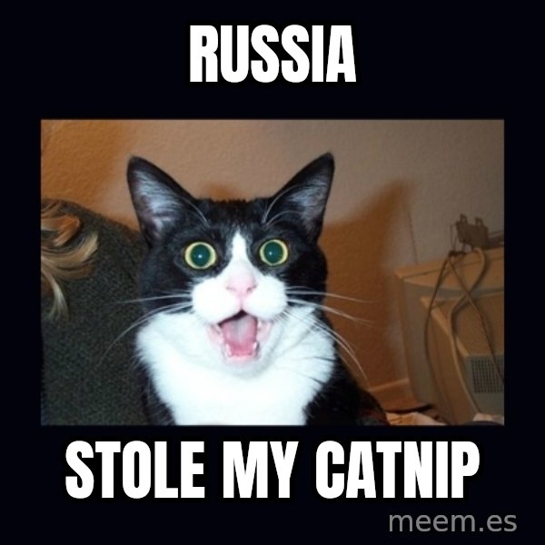 shocked cat meme: Russia / Stole my catnip
