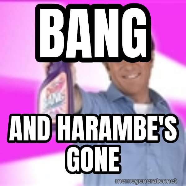 Barry Scott meme: BANG / And harambe's gone