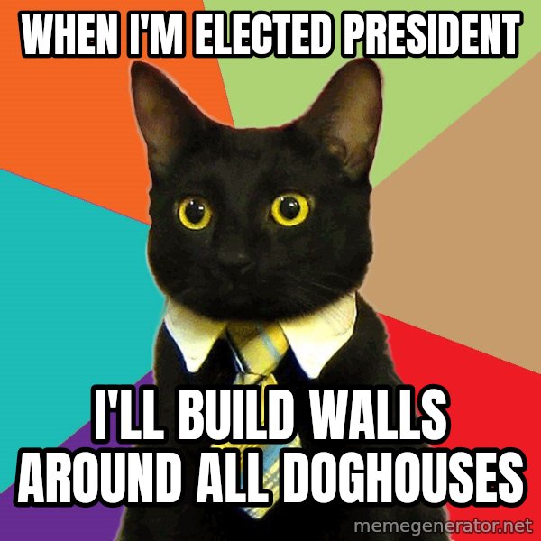 Business Cat meme: when i'm elected president / i'll build walls around all doghouses