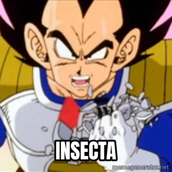 Over 9000 meme: Insecta