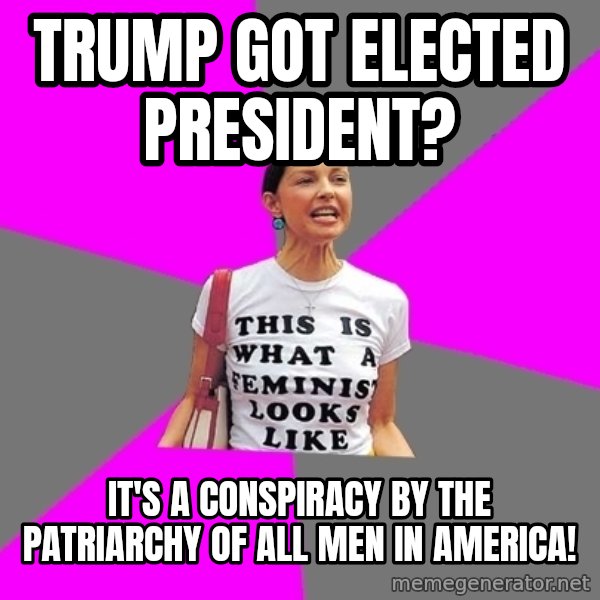 Feminist Cunt meme: Trump got elected president? / It's a conspiracy by the patriarchy of all men in America!