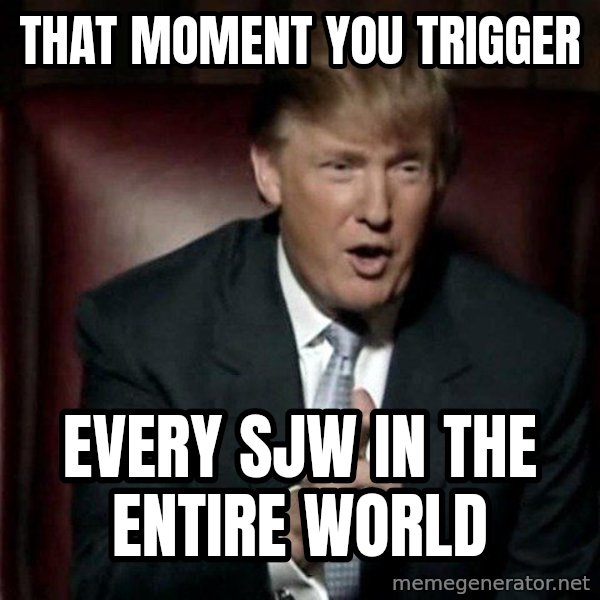 Donald Trump meme: THAT MOMENT YOU TRIGGER / EVERY SJW IN THE ENTIRE WORLD