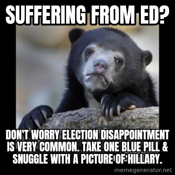 sad bear meme: SUFFERING FROM ED? / don't worry election disappointment is very common. Take one blue pill & snuggle with a picture of Hillary.