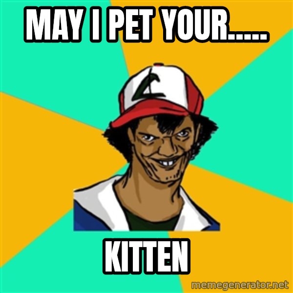 Ash Pedreiro meme: may i pet your..... / kitten