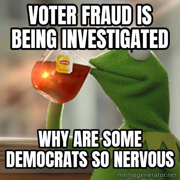 Kermit The Frog Drinking Tea meme: voter fraud is being investigated / why are some democrats so nervous