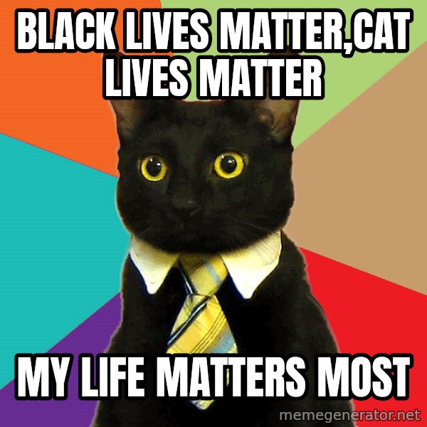 Business Cat meme: black lives matter,cat lives matter / my life matters most