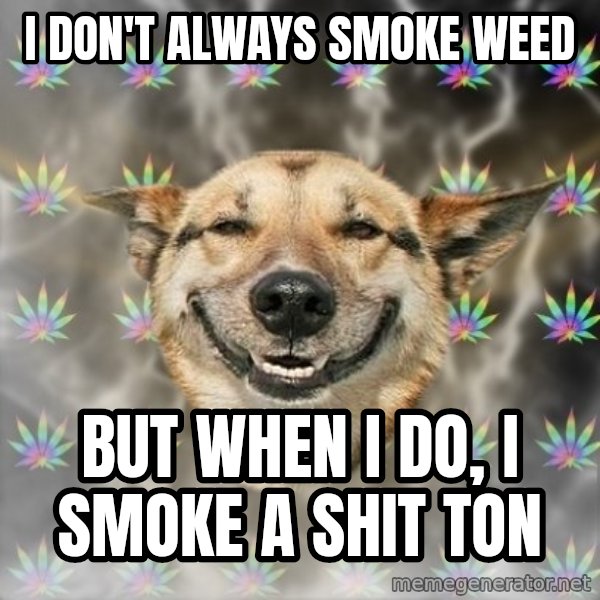 Stoner Dog meme: I don't always smoke weed / but when I do, I smoke a shit ton
