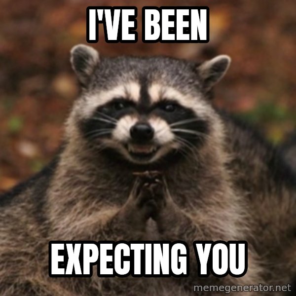 evil raccoon meme: i've been / expecting you
