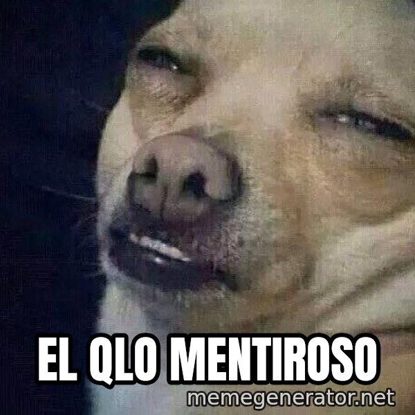 Perro el ql mentiroso meme: El qlo mentiroso