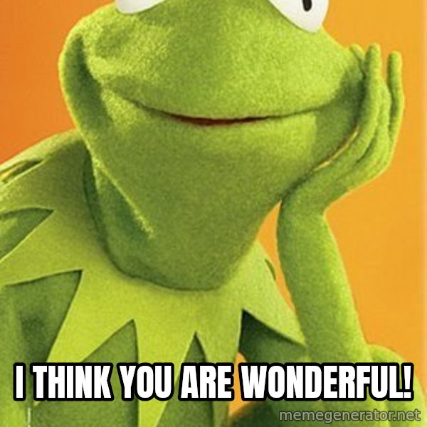 Kermit the frog meme: i think you are wonderful!