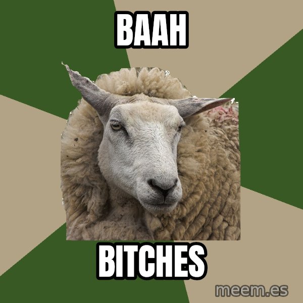 Sociology Student Sheep meme: baah / bitches