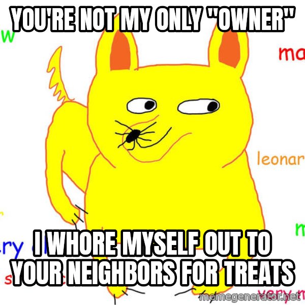 Grumpy Cat  meme: You're not my only "owner" / I whore myself out to your neighbors for treats
