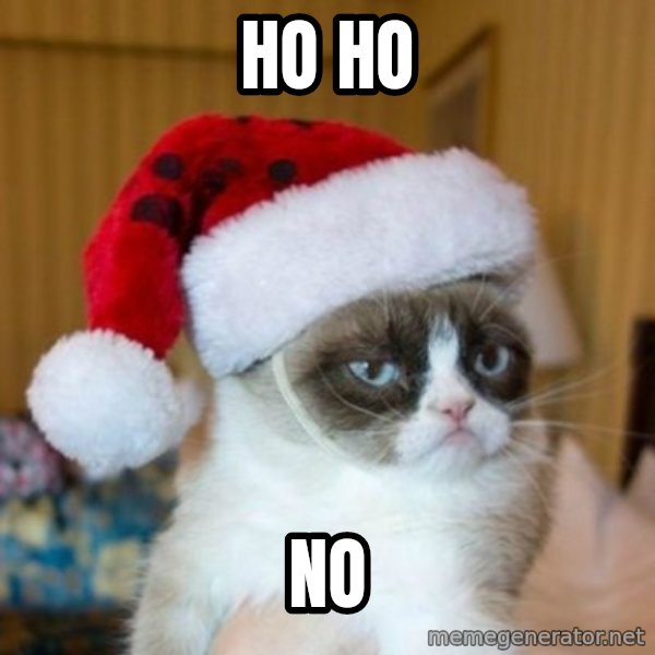 Grumpy Cat Santa Hat meme: Ho Ho / No