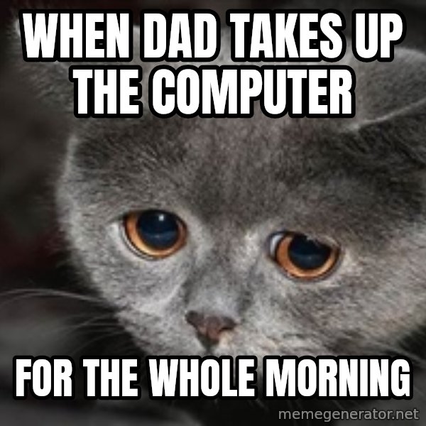 Sadcat meme: when dad takes up the computer / for the whole morning