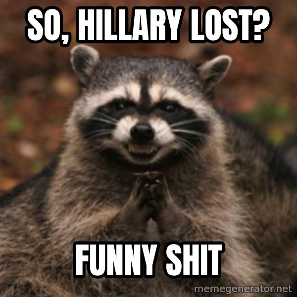 evil raccoon meme: So, Hillary lost? / Funny shit