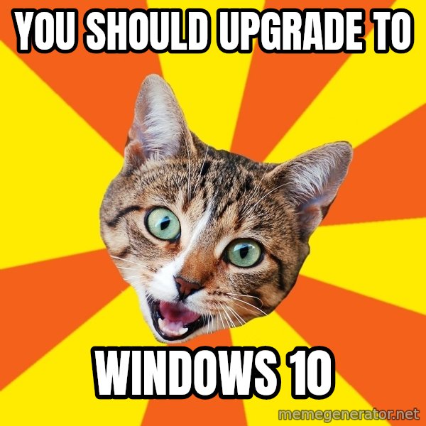 Bad Advice Cat meme: You should upgrade to / Windows 10