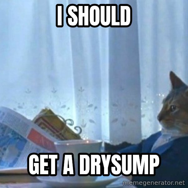 newspaper cat realization meme: I should / Get a drysump