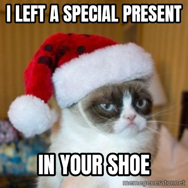 Grumpy Cat Santa Hat meme: I left a special present / in your shoe