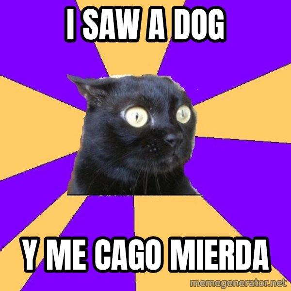 Anxiety Cat meme: I saw a dog / Y me cago mierda