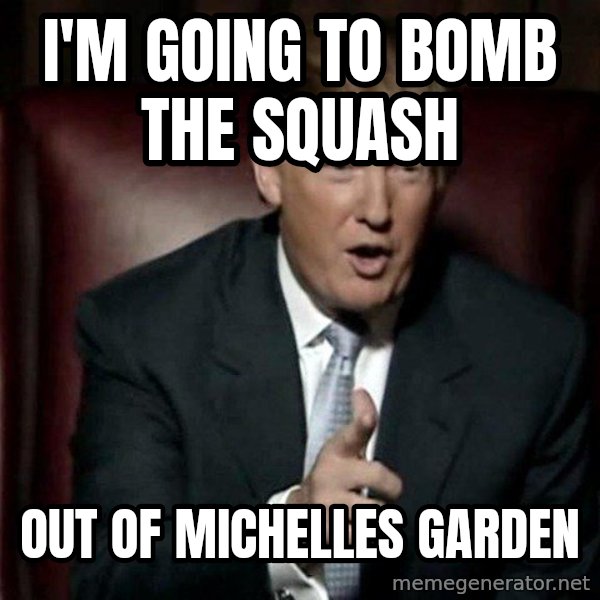 Donald Trump meme: I'm going to bomb the squash / out of Michelles garden