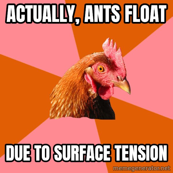 Anti Joke Chicken meme: Actually, Ants float / due to surface tension
