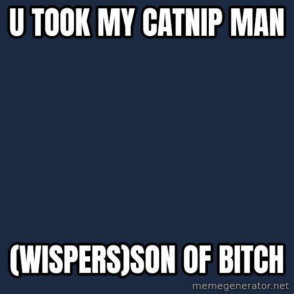 Grumpy Cat  meme: u took my catnip man / (wispers)son of bitch