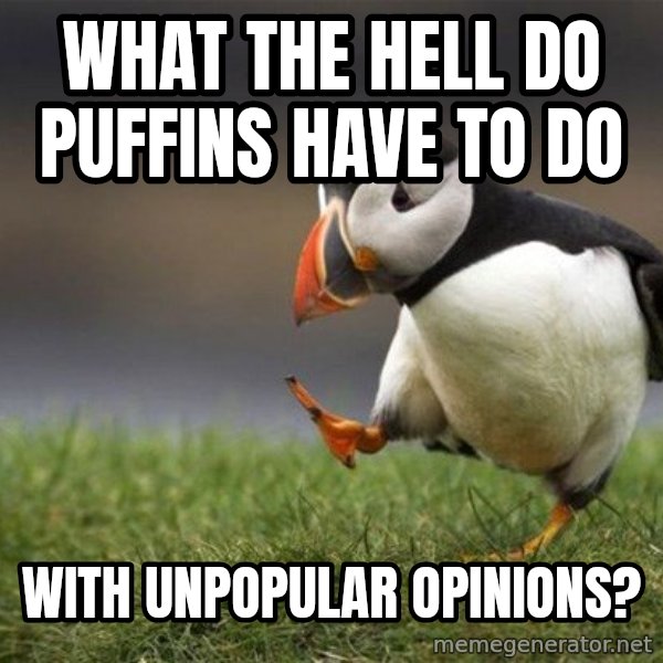 Unpopular Opinion Puffin meme: what the hell do puffins have to do / with unpopular opinions?