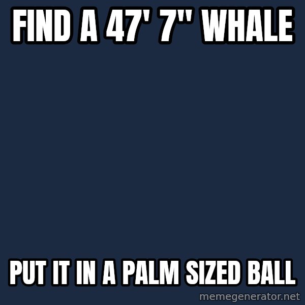 Professor Oak meme: Find a 47' 7" whale / put it in a palm sized ball
