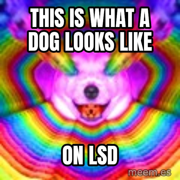 Final Advice Dog meme: this is what a dog looks like / on LSD