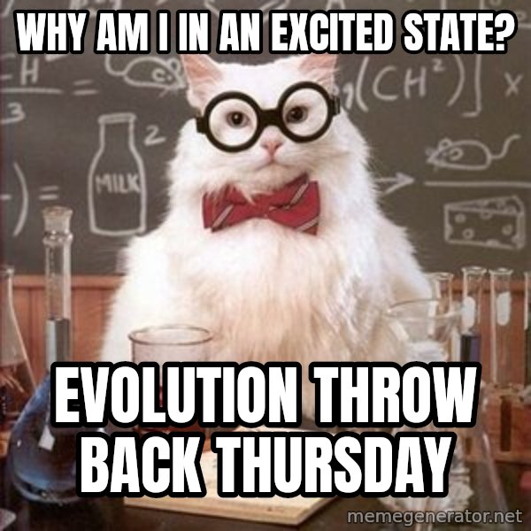 Chemistry Cat meme: Why am I in an excited state? / Evolution Throw Back Thursday