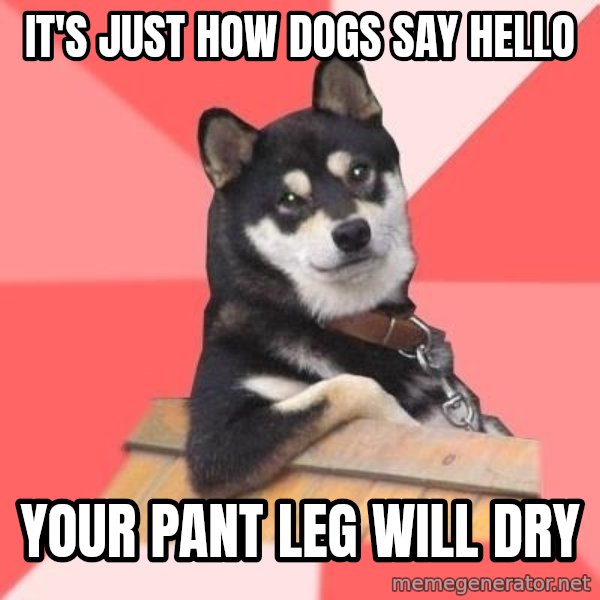 Cool Dog meme: it's just how dogs say hello / your pant leg will dry