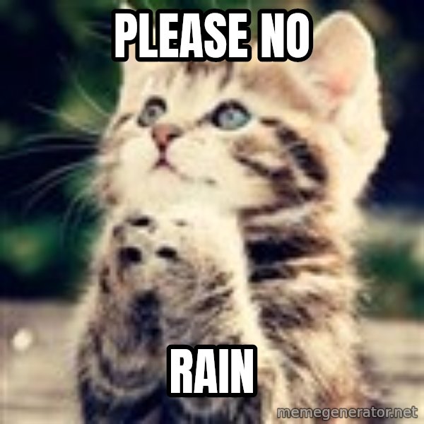 Praying Kitten meme: please no / rain