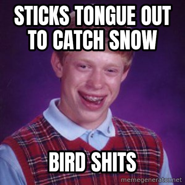 Bad Luck Brian meme: Sticks tongue out to catch snow / Bird shits