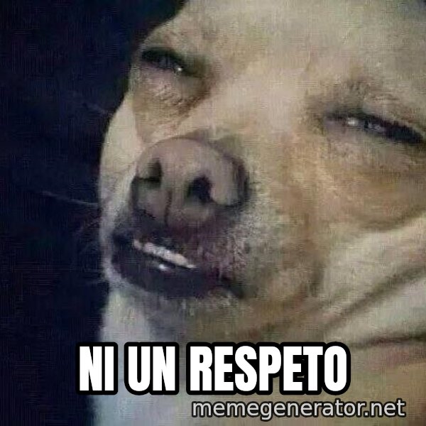 Perro el ql mentiroso meme: Ni un respeto