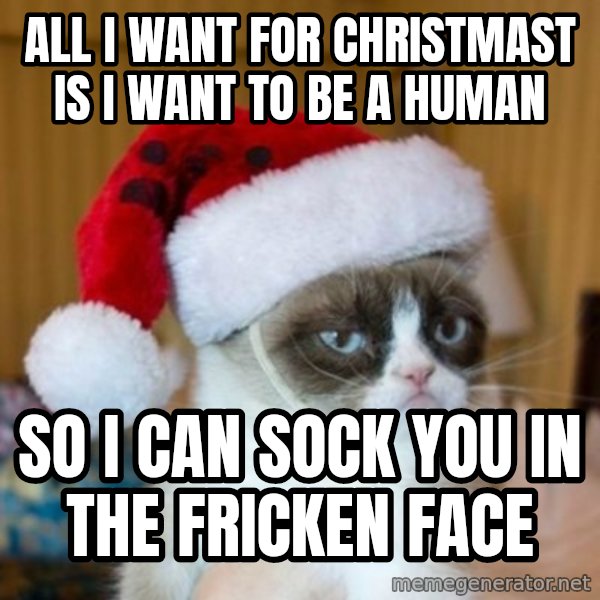 Grumpy Cat Santa Hat meme: all i want for christmast is i want to be a human / so i can sock you in the fricken face