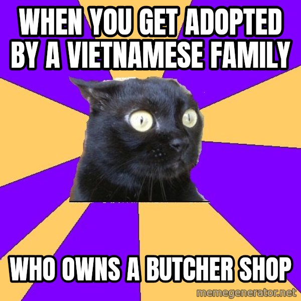 Anxiety Cat meme: When you get adopted by a vietnamese family / who owns a butcher shop
